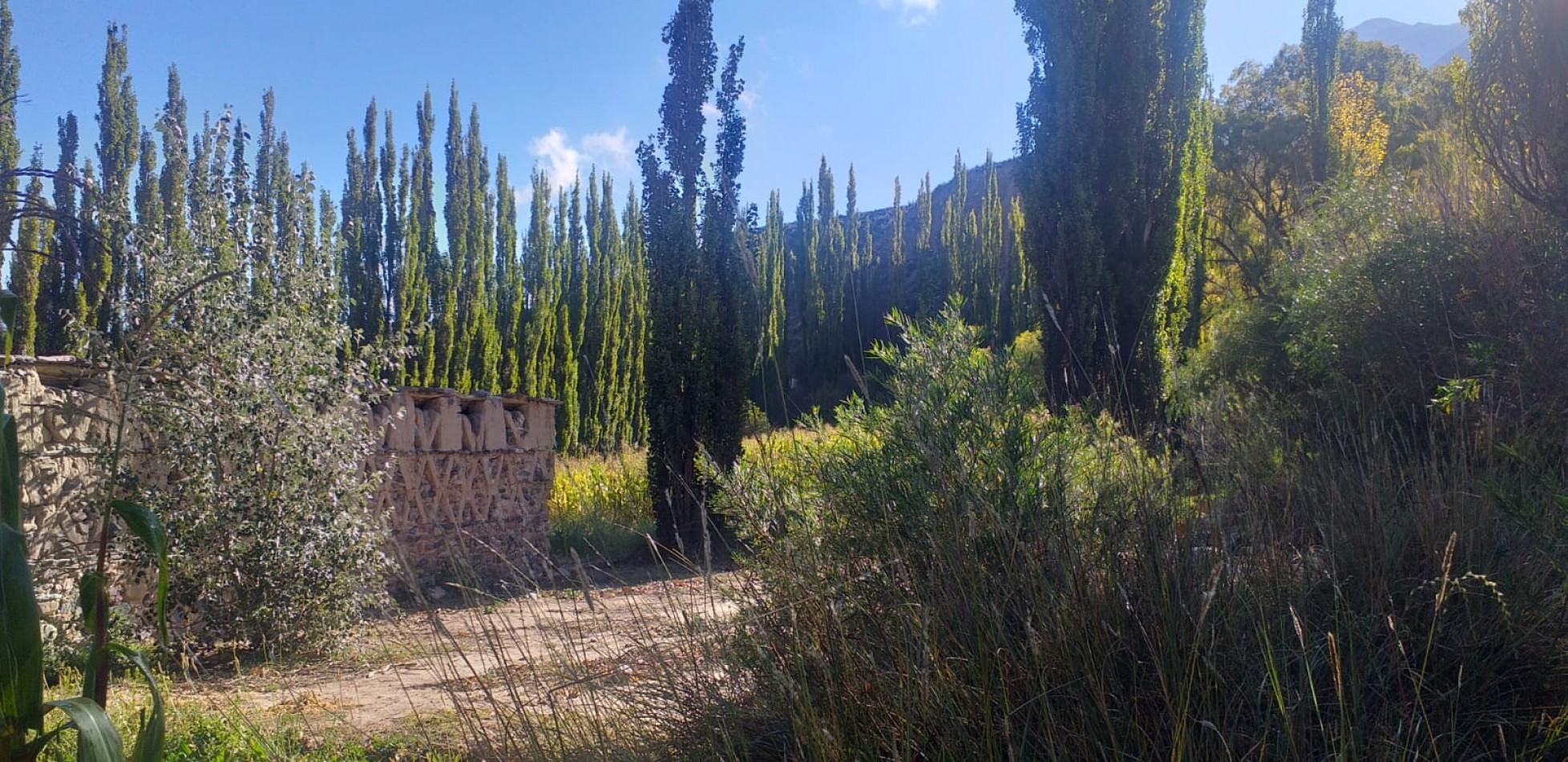 Finca en Huacalera apta viñedos y turismo - A metros de Casa Mocha