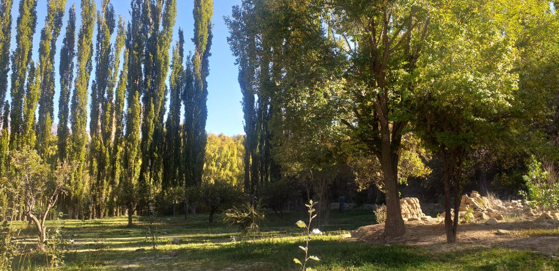 Finca en Huacalera apta viñedos y turismo - A metros de Casa Mocha