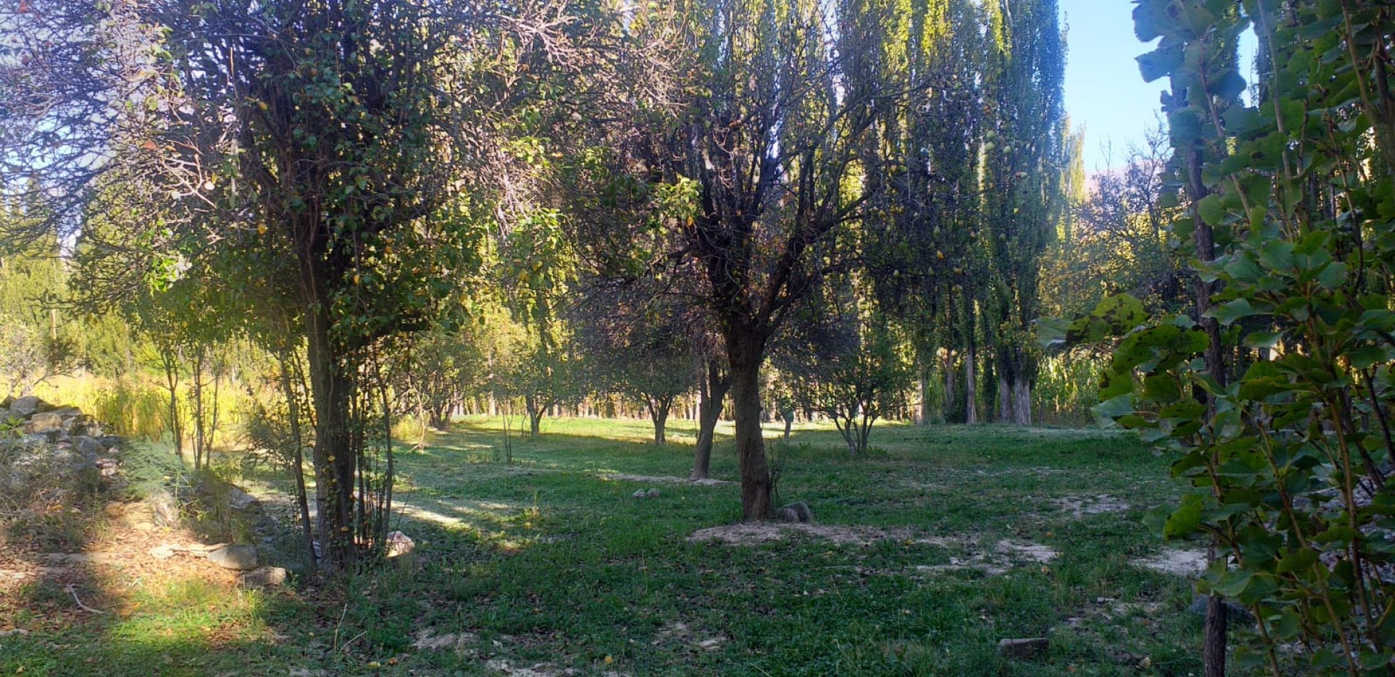 Finca en Huacalera apta viñedos y turismo - A metros de Casa Mocha