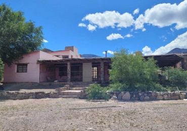 Hostal en Sumaj Pacha (Tilcara) - Entre el pueblo de Tilcara y Maimara